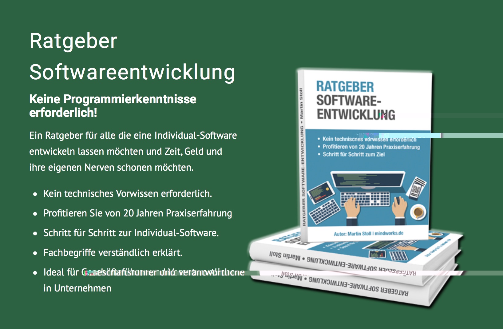E-Book „Ratgeber Softwareentwicklung“